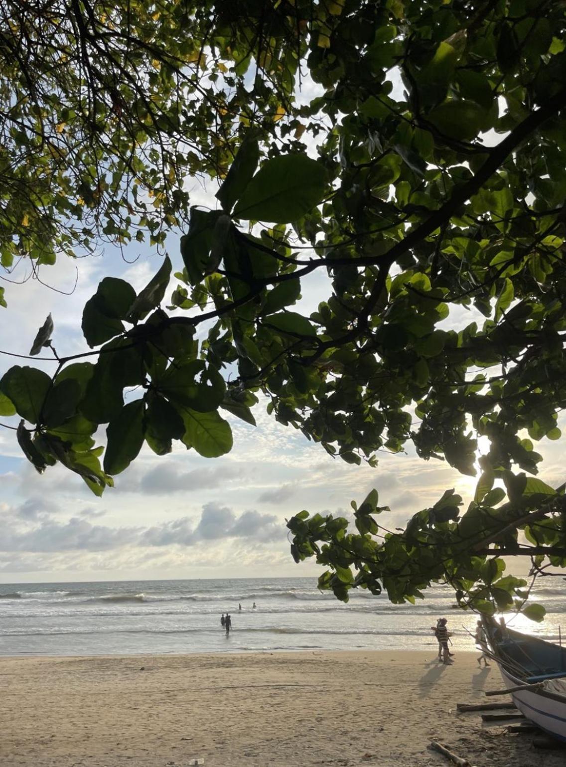 12 Monks - Beachside Hostel Arambol Eksteriør bilde