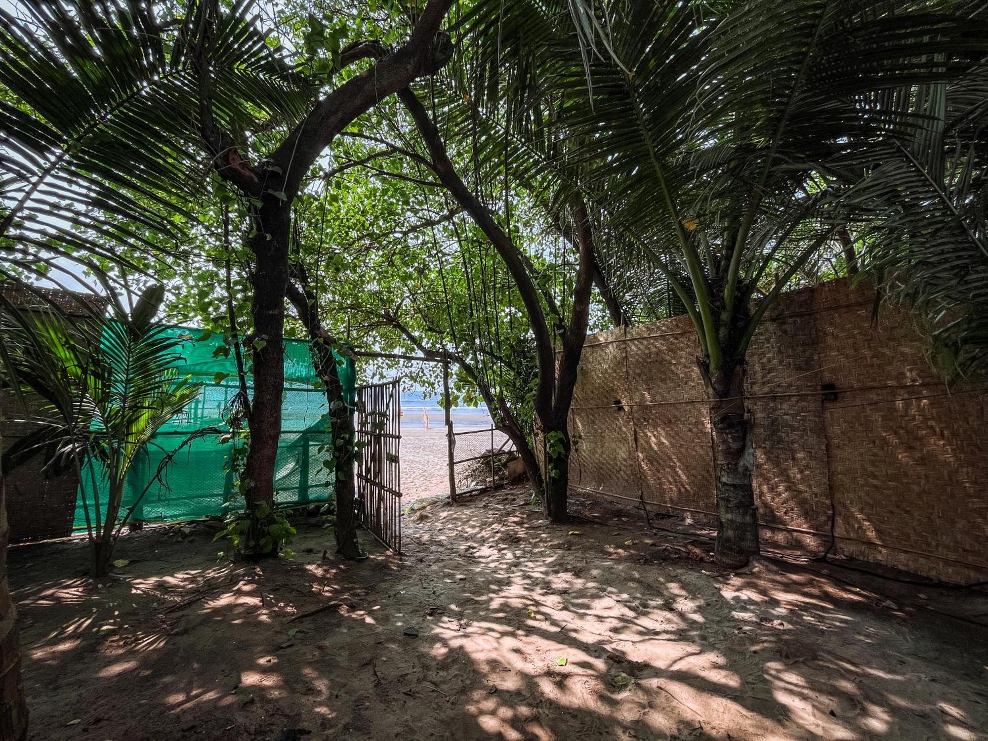 12 Monks - Beachside Hostel Arambol Eksteriør bilde